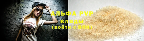 гидра Богородицк