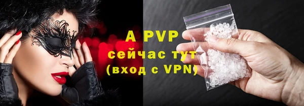 ПСИЛОЦИБИНОВЫЕ ГРИБЫ Бородино