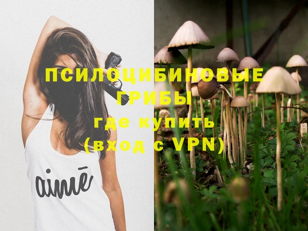 твердый Белокуриха