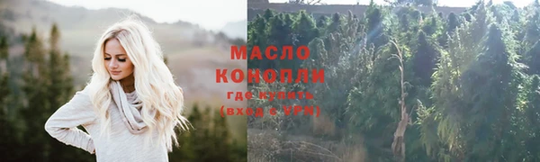 гидра Богородицк