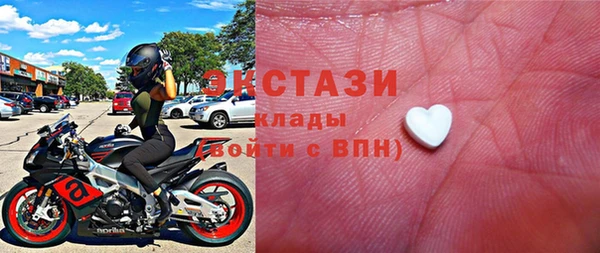 гидра Богородицк