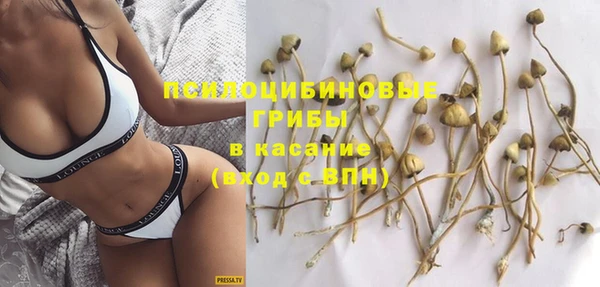твердый Белокуриха
