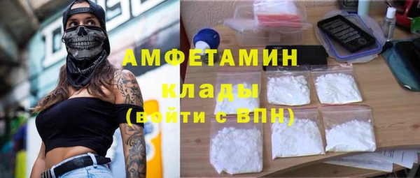 гидра Богородицк